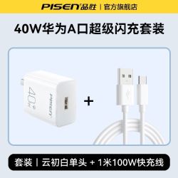 品胜 40W快充充电器+1米100W快充线套装