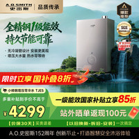 A.O.SMITH JSLQ28-TJE5 一级能效零冷水 16L 天然气 燃气热水器