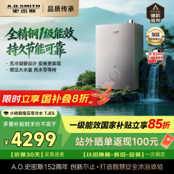 A.O.SMITH JSLQ28-TJE5 一级能效零冷水 16L 天然气 燃气热水器