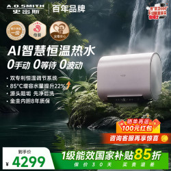 A.O.SMITH 智能升级恒温 电热水器