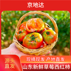 京地达 栗贝诺 山东铁皮草莓西红柿 4斤 （超好吃）