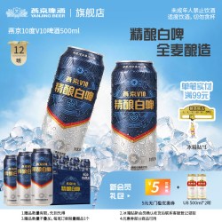 燕京啤酒 V10精酿白啤 500ml*12听
