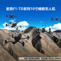 ZIYAN珠海紫燕 F1-TD 蜂群10寸机蜂群系统-标准版（ 带镜头）紫燕训练靶机蜂群无人机 1站10架 无电池