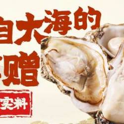 蓝海 青岛 蓝海经典四人餐