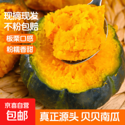 京喜 陕西贝贝南瓜 板栗口感 源头直发粉糯香甜辅食美味粗粮 净重 4.5斤