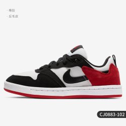 NIKE DUNK 男款休闲运动鞋 CJ0882-104