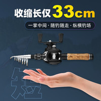 伸缩路亚竿便携式33cm远投海竿路亚抛竿超短节套装水滴轮纺车轮