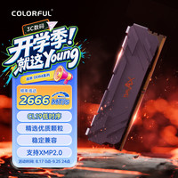 七彩虹 8GB DDR4 2666 台式机内存条 战斧系列·钛金灰 C19