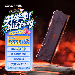 七彩虹 8GB DDR4 2666 台式机内存条 战斧系列·钛金灰 C19