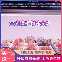 上色全光谱多肉补光灯家用大功率白光植物防徒室内花卉绿植育苗
