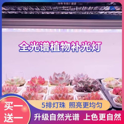 上色全光谱多肉补光灯家用大功率白光植物防徒室内花卉绿植育苗
