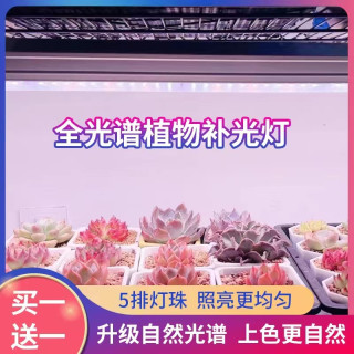 上色全光谱多肉补光灯家用大功率白光植物防徒室内花卉绿植育苗