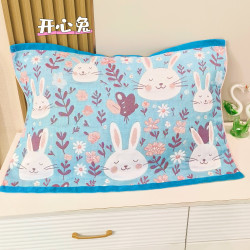 网红棉纱枕巾 尺寸50*80cm  一对 专享