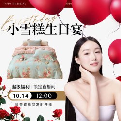 小雪糕生日专享全棉亲肤纯棉印花高支高密四件套枕芯一对被芯一条