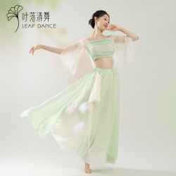 叶落清舞 古典舞羽毛飘逸纱衣舞蹈演出服中国舞撞色羽毛裙裤表演服