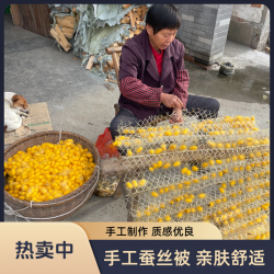 陌上问蚕古法手工蚕丝被黄金蚕丝单人双人儿童空调被子母被夏凉被