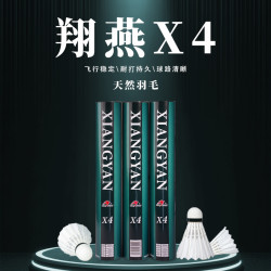 翔燕X系列X4羽毛球抗风运动球耐用耐打羽毛球室外耐打鹅毛防风