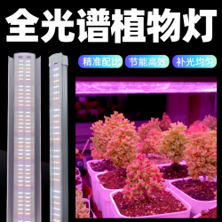 科维隆枝干番杏补光仿太阳全光谱家用LED多肉专用植物生长灯室内