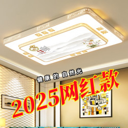 柯昊 长方形LED护眼客厅大气简约主灯吸顶灯餐厅卧室灯家用组合灯具