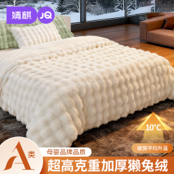 婧麒 床上四件套A类獭兔绒双面加厚保暖被套绒床笠床单秋冬季新款