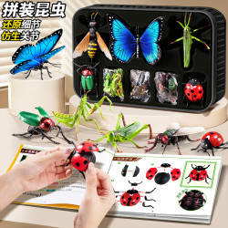 KaKa&Beier 3D趣味昆虫立体拼图儿童创意DIY玩具3到6岁早教手工拼装益智积木