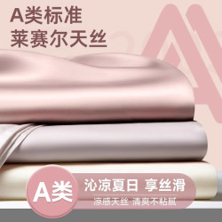 苏萱 夏季天丝床笠单件2026年新款冰丝床罩三件套床上垫保护套防尘床单