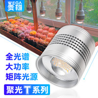 WEGA/贵翔多肉补光灯全光谱上色LED植物生长灯