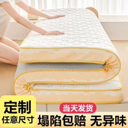 瑞漾 可定制乳胶床垫记忆棉加厚软垫榻榻米睡炕褥子家用高密度海绵地铺