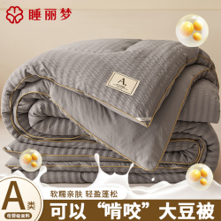 7A抗菌提花泡泡棉大豆被2026新款春秋被冬被宿舍单人被芯四季通用