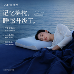 泰嗨 零压深睡眠护颈枕慢回弹记忆棉枕头睡眠枕芯成人透气