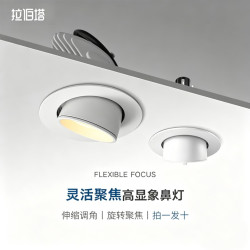 拉伯塔 象鼻灯服装店专用led射灯店铺商用4寸12W30W嵌入式防眩小山丘射灯