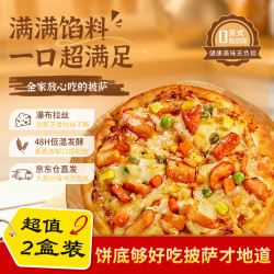 闪味 鸡肉披萨2片/366g 儿童早餐半成品烤箱空气炸锅食材加热即食比萨