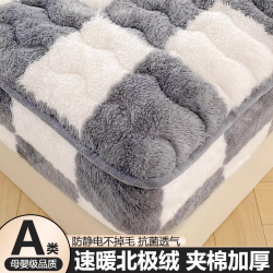 时鸟 加厚牛奶绒床笠床罩单件家用防滑床单款珊瑚加厚夹棉床垫保护套罩
