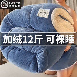 雅鹿 V/雅鹿羊羔绒被子冬被被芯加厚单人正品可保暖学生宿舍防寒被褥