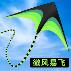 逍遥劲 草原风筝大人专用儿童简单易飞2026年新款潍坊巨型风筝高档升级