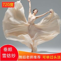 720夏季双层大摆裙古典舞广场跳舞蹈裙雪纺交谊舞民族舞半身长裙