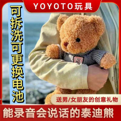 菲洛林 生日礼物录音发声可爱泰迪熊毛绒玩具公仔抱抱熊小玩偶小熊熊娃娃