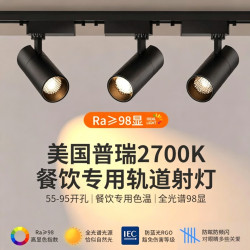 拉伯塔 Ra98餐饮专用明装吸顶轨道射灯2700k高显色防眩光酒店餐厅聚光灯