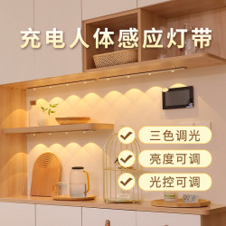 人体感应灯自粘感应无线充电免接线橱柜鞋柜玄关酒柜灯感应灯带