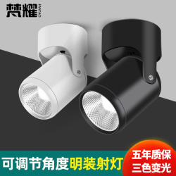 梵耀 明装射灯led天花灯家用可调角度店铺商用cob轨道灯小吸顶明装筒灯