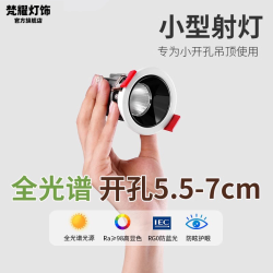 梵耀 开孔55mm射灯嵌入式5.5cm小筒灯防眩光孔灯直径6公分天花灯专属