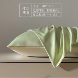 夏季冰丝枕套一对装透气凉感夏天枕头套纯色枕芯内胆套48cmx74cm