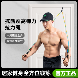 全身肌肉训练拉力绳，塑形增肌瑜伽推拉杆 圆环款