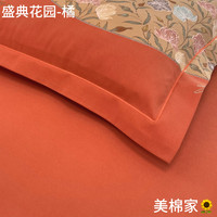  磨毛加厚 枕套 （枕套花色随机）