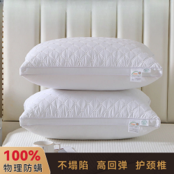 星级枕芯一对装成人居家护颈深睡枕专用深度睡眠纤维家用奢华枕