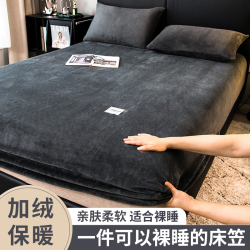 靓萱 冬季牛奶绒床笠单件席梦思全包床罩加绒床垫保护套水晶绒防滑床单