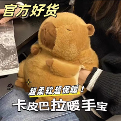 卡皮巴拉暖宝宝水豚冬季插手热水袋暖手宝毛绒玩具科学儿童礼物呆