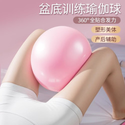 欧健健身球25cm盆底肌康复训练球普拉提球健身瑜伽球迷你小球