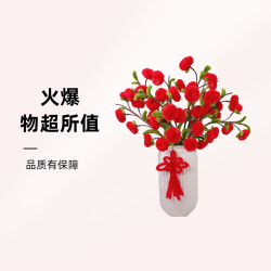 扭扭棒小苹果平安幸福材料包（不含花瓶）苏苏手工推荐
