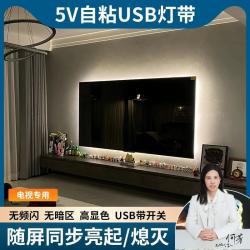 高级氛围电视灯带 正白暖白光 USB 供电免接线沉浸式客厅卧室灯